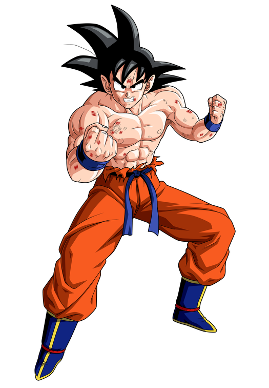 goku damaged