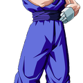 vegetto_2.png